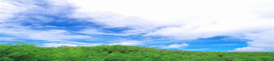 ���k �u���[�Y�`����앗�`